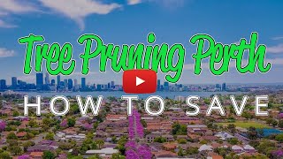 Tree Pruning Perth in 2020 - How to Save