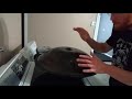 handpan