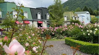 軽井沢,レイクガーデンLake Garden, NAGANO Ken, Karuizawa , Nature Beauty,バラ,Rose,自然