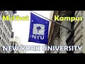 Kampus New York University (NYU)