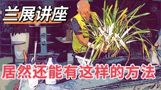 「22158」老先生的兰花讲座，学到很多：大花惠兰豪放换盆/分株，俩月不给水促根，药品肥料 //静姐说花945