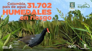 Colombia, país de agua: 31.702 humedales en riesgo | Parque Explora