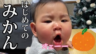 【成長日記#258】はじめてみかんを食べて悶絶する赤ちゃん/生後8ヶ月14日