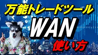 FXトレードツールWAN　使用方法解説　１０分から暗黒　がるちゅーぶFXX