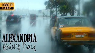 Alexandria Rainy Day | April 2015