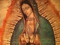 The Story of Our Lady of Guadalupe