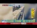 台銷美金針菇驗出「致命細菌」！ 業者信心秀檢驗報告