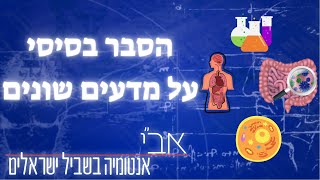 הסבר בסיסי על מדעים שונים (שחייבים להבין)