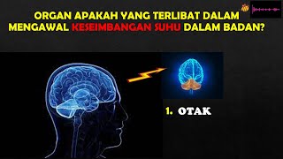 Sains itu mudah/Tingkatan 1/Bab 3/Homeostasis dalam manusia/PT3