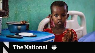 Somalia pushed to the brink of famine