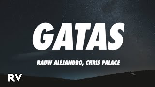 Rauw Alejandro - GATAS (Letra/Lyrics) ft. Chris Palace