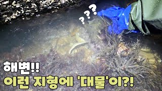 요즘 바닷가가면 여긴 꼭 보세요?! 엄청난게 잡혀요