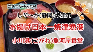 【ささやかvlog#34】#焼津漁港#家庭菜園#魚河岸食堂/水揚げ日本一焼津漁港の魚河岸食堂