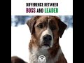 must watch difference between leader and boss