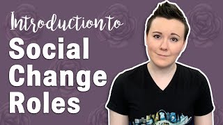 INTRODUCTION TO THE ROLES FOR SOCIAL CHANGE | Deepa Iyer's map