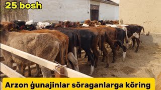 Yosh ģunajinlar arzon joyidan +99894.753.90.86+99893.949.10.94 sõraganlarga