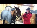 the madden method fitting a bridle