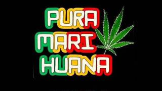 Cumbia pa' la cancha - Pura Marihuana (Fumando y Bailando)