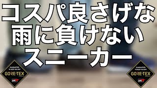 【スニーカーレビュー】悪天候の時に履けるコスパの良い3足！