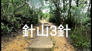 【#越野跑 #針山 3針 Part A】全程27km  👆🏽升攀~1878m