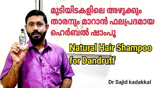 മുടിയിടകളിലെ അഴുക്കും, താരനും മാറാൻ ഫലപ്രദമായ ഹെർബൽ ഷാംപൂ,  Best And Effective Herbal Shampoo.