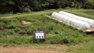 八王子市　 長池公園を散歩