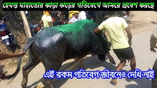 হেমন্ত মাহাতোর কাড়া ঝড়ের গতিবেগে আসরে প্রবেশ করছে