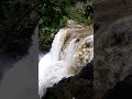 flood in pullaveli falls on january 2022 shorts shortvideo pullavellifalls