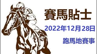 賽馬貼士 跑馬地賽事 (2022年12月28日)