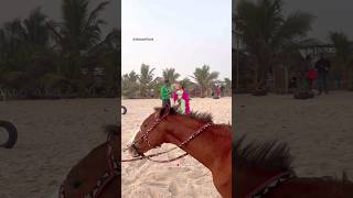 அற்புதமான பெண்😂🌹❤️ #highlights #fy #funny #wonderful #youtube #viral #shorts #short