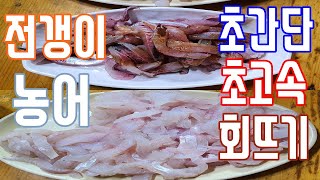 농어 전갱이 초간단 초고속 회뜨는 방법 ! (진해만 낚시고수님) 여름회 추천어종 Seabass raw fish sashimi