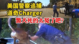 美國警察GSP喬治亞州警神操作：追捕撞停道奇很成功，但警犬死的太冤了吧？