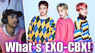 A Guide to EXO-CBX REACTION