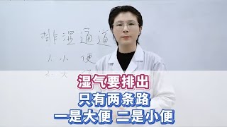 湿气要排出，只有两条路：一是大便，二是小便