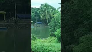 kerala nature love / kayalinarike song  #youtubeshorts