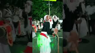 අම්මෝ කොහොමද එයාගේ  පැද්දිල්ල  🤣   ( perahera kolam )  #dance #perahera #shorts