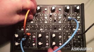 Plankton Electronics ANTS! Semi-Modular Analog Synth Review