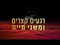 בית המקדש בירושלים פרק 10 מנהג הקפת השערים