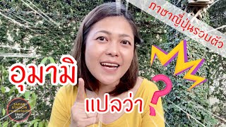 อูมามิ แปลว่าอะไร | ภาษาญี่ปุ่นพร้อมเสิร์ฟ