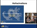 Hallucinations: Recovery-Oriented Cognitive Therapy Approach