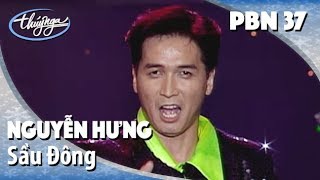 Nguyễn Hưng - Sầu Đông (Khánh Băng) PBN 37