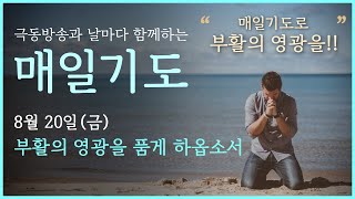 [매일기도] 8월 20일. 부활의 영광을 품고 소망하게 하옵소서.