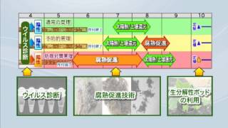 愛知県のキュウリ産地のための脱臭化メチル栽培マニュアル