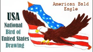 How to Draw American Bald Eagle||National Bird of United States USA Drawing||Wali Drawing For All