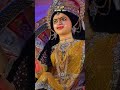 maa durga pandal janjgir naila chhattisgarh sortvideo cgsorts ambetuhaijagdambekali