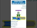 How Globe Valves Work