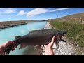 Rainbow Trout Twizel Canals