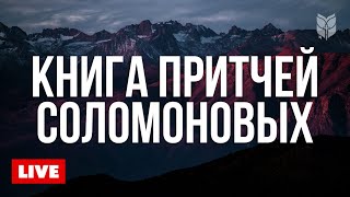 🔴 Притчи на каждый день | Слушайте Библию онлайн 24/7