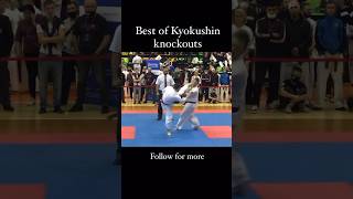 Best of Kyokushin Knockouts Day 1 | Kyokushin Best knockouts | Fighting knockout video | #kyokushin