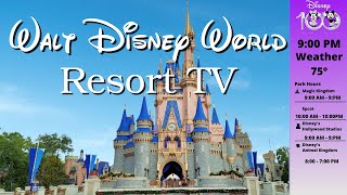 WDW Resort TV Today Channel - Disney World - LIVE STREAM - New Version